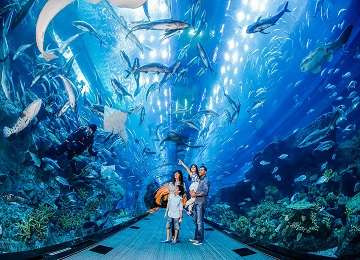 dubai-aquarium-under-water-zoo