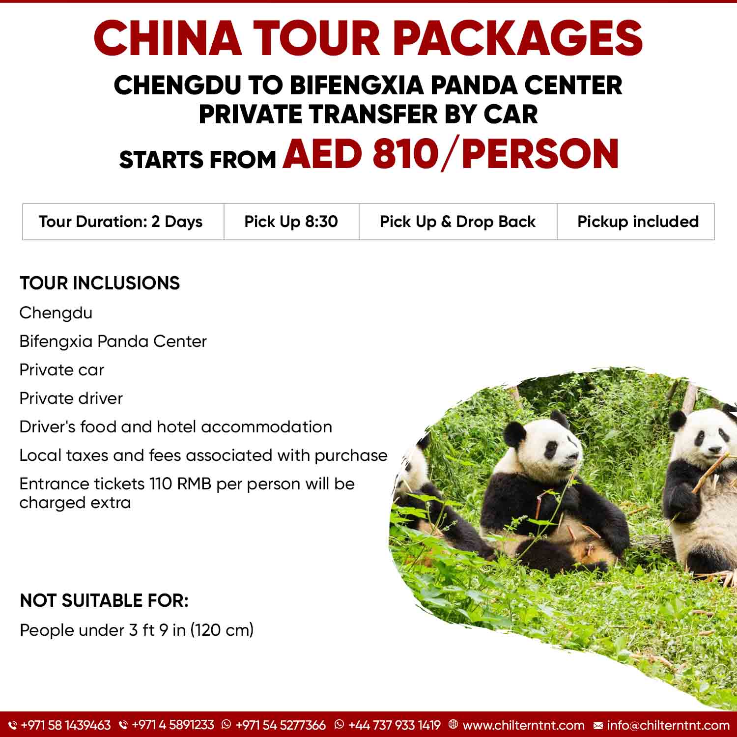 Chengdu-to-Bifengxia-Panda-Center