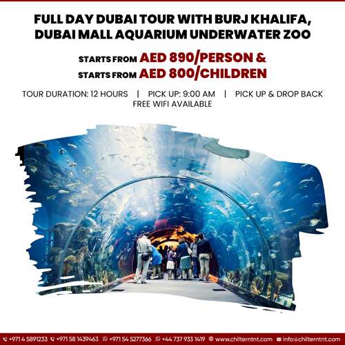 Dubai-Mall-Aquarium-Underwater