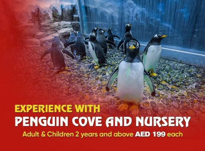 Explore World With Chiltern